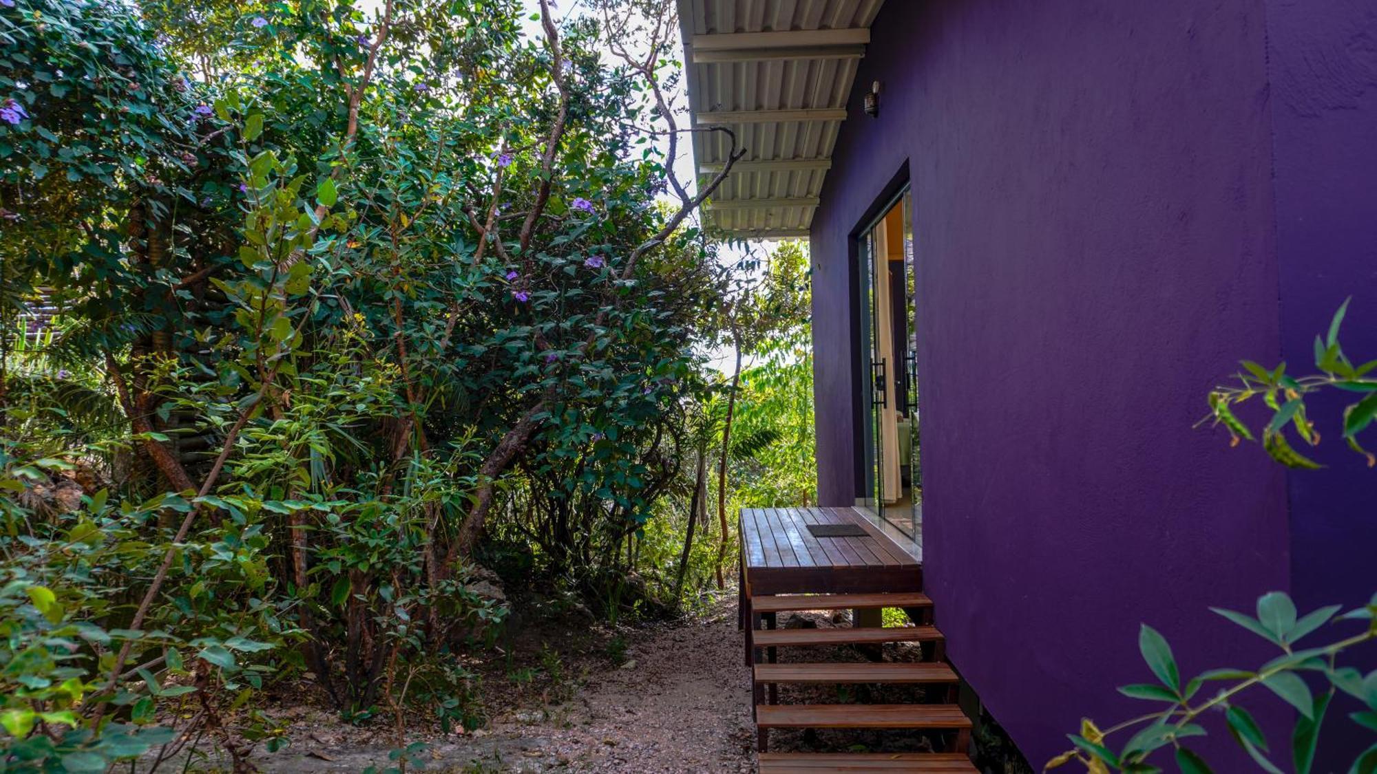 Vila Flor - Chapada Dos Veadeiros Alto Paraiso de Goias Ngoại thất bức ảnh
